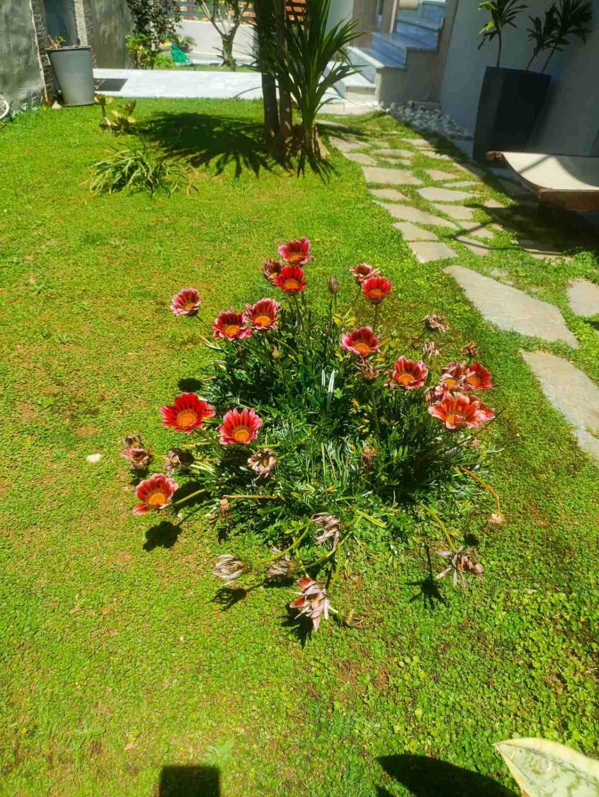 Sunrise Apartment 2 Souda Exterior photo
